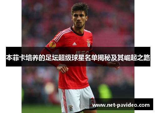 本菲卡培养的足坛超级球星名单揭秘及其崛起之路