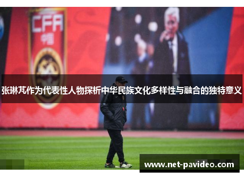 张琳芃作为代表性人物探析中华民族文化多样性与融合的独特意义