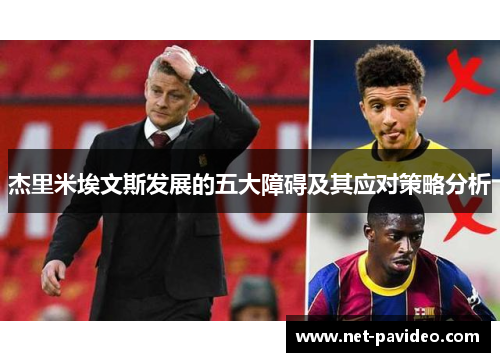 杰里米埃文斯发展的五大障碍及其应对策略分析