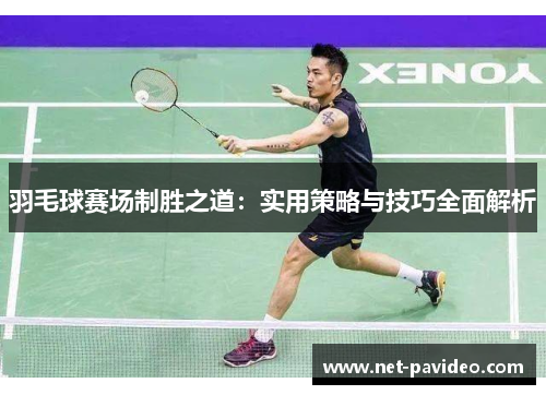 羽毛球赛场制胜之道：实用策略与技巧全面解析
