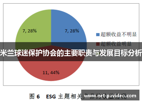 米兰球迷保护协会的主要职责与发展目标分析