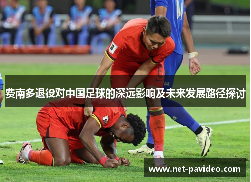 费南多退役对中国足球的深远影响及未来发展路径探讨