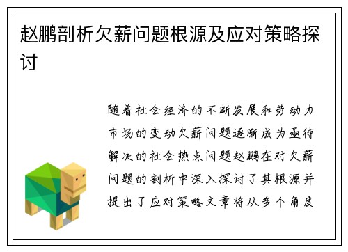 赵鹏剖析欠薪问题根源及应对策略探讨 赵鹏剖析欠薪问题根源及应对策略探讨
