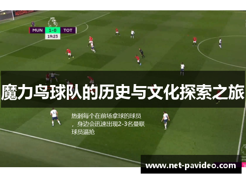 魔力鸟球队的历史与文化探索之旅
