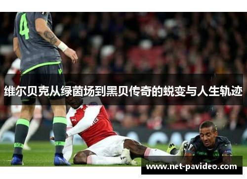 维尔贝克从绿茵场到黑贝传奇的蜕变与人生轨迹