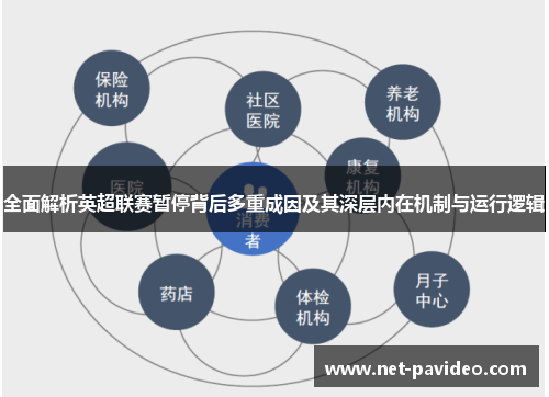 全面解析英超联赛暂停背后多重成因及其深层内在机制与运行逻辑 全面解析英超联赛暂停背后多重成因及其深层内在机制与运行逻辑